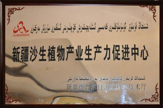 新疆沙生植物肉苁蓉产业生产力促进中心